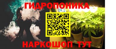 прущие крисы Лесосибирск
