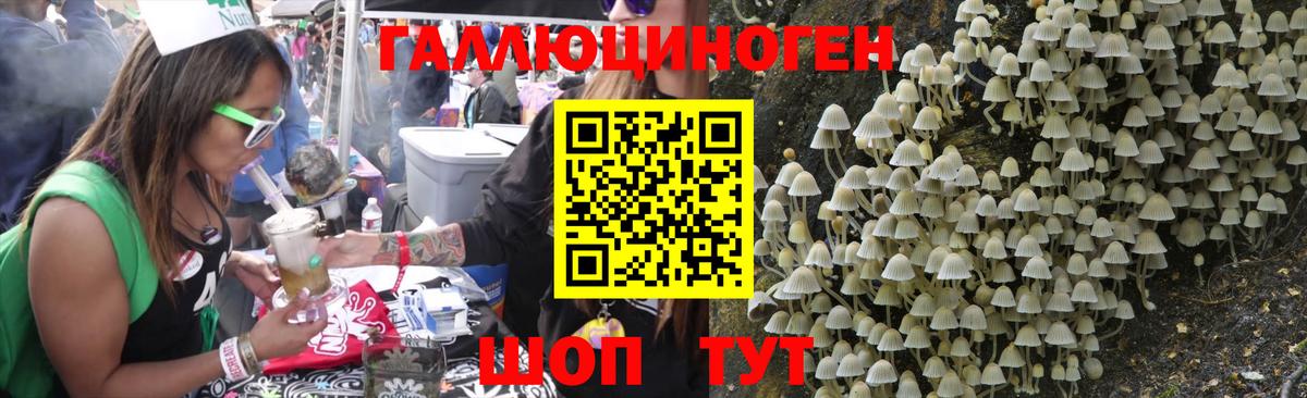 Галлюциногенные грибы прущие грибы  купить наркотики сайты  Городец  Вход с VPN 